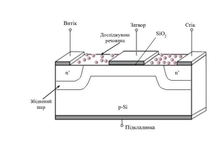 Досліджувана речовина Збіднений шар n+ n+ p-Si Витік Стік Затвор Підкладинка SiО2