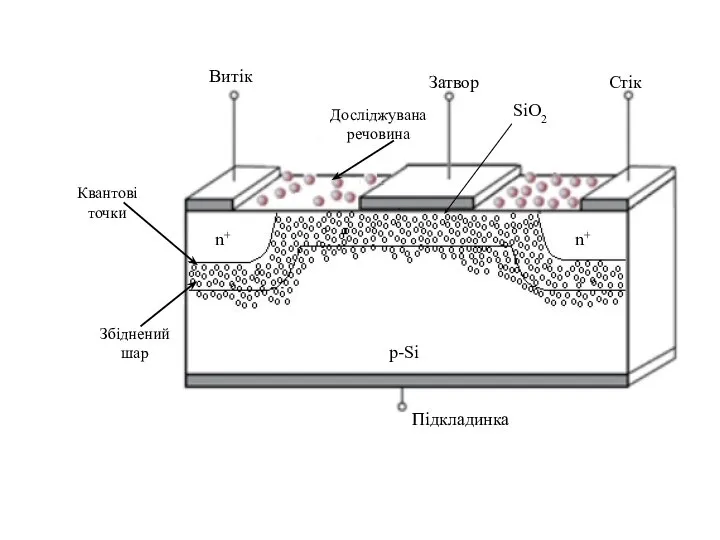 Досліджувана речовина Збіднений шар n+ n+ p-Si Витік Стік Затвор Підкладинка SiО2 Квантові точки