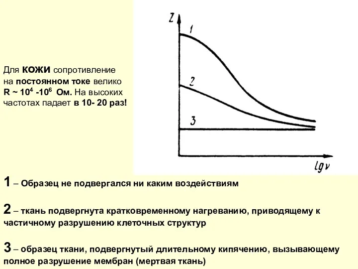 1 – Образец не подвергался ни каким воздействиям 2 – ткань