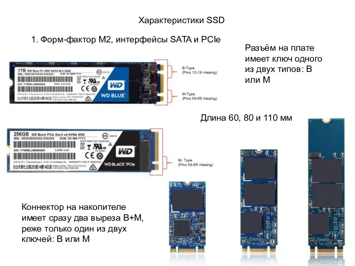 Характеристики SSD 1. Форм-фактор M2, интерфейсы SATA и PCIe Коннектор на