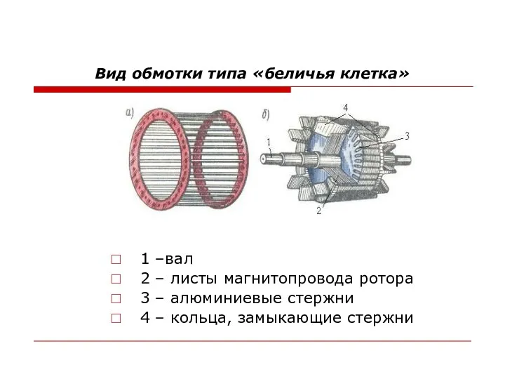 Вид обмотки типа «беличья клетка» 1 –вал 2 – листы магнитопровода