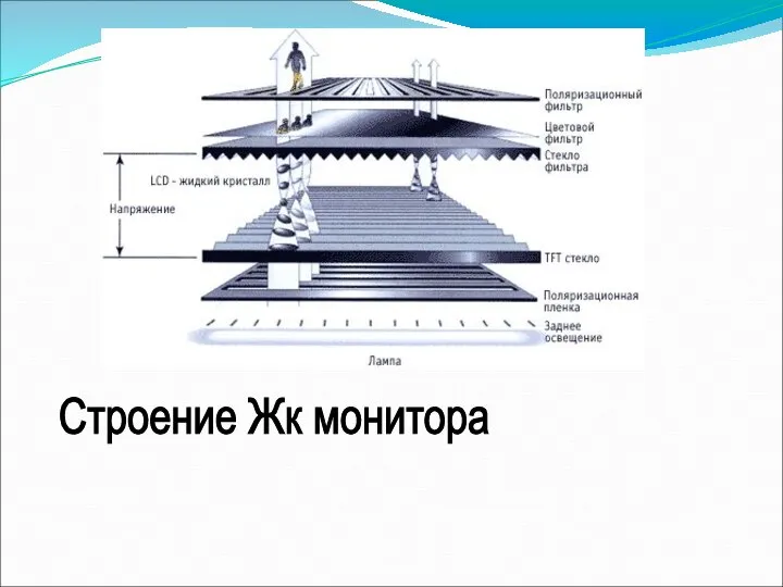 Строение Жк монитора