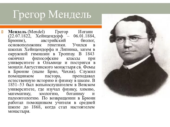 Грегор Мендель Мендель (Mendel) Грегор Иоганн (22.07.1822, Хейнцендорф – 06.01.1884, Брюнне),