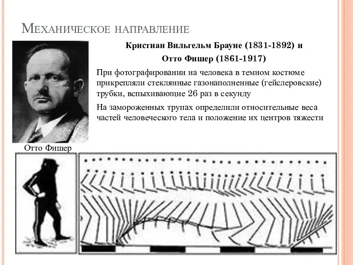 Механическое направление Кристиан Вильгельм Брауне (1831-1892) и Отто Фишер (1861-1917) При