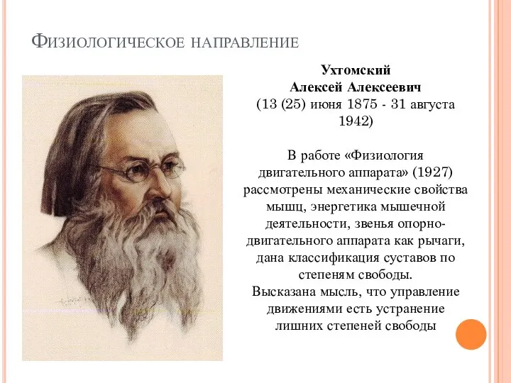 Физиологическое направление Ухтомский Алексей Алексеевич (13 (25) июня 1875 - 31