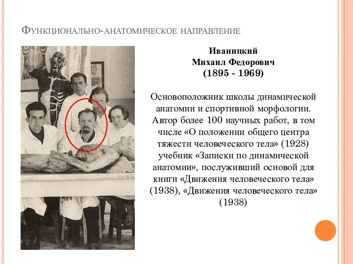 Функционально-анатомическое направление Иваницкий Михаил Федорович (1895 - 1969) Основоположник школы динамической