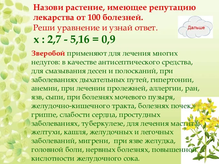 Назови растение, имеющее репутацию лекарства от 100 болезней. Реши уравнение и