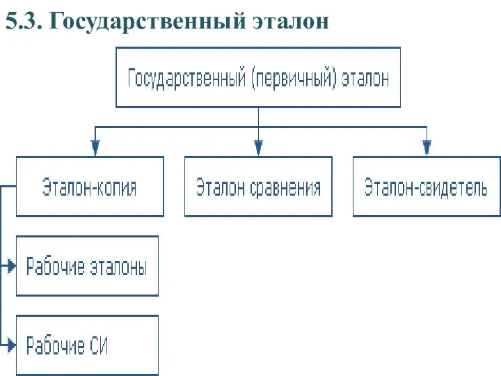 5.3. Государственный эталон