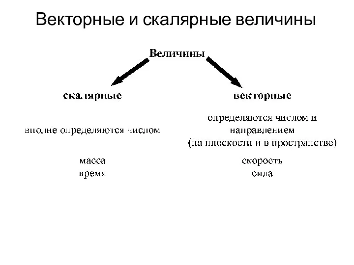 Векторные и скалярные величины