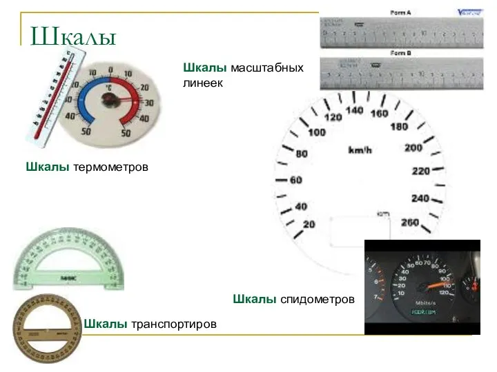 Шкалы Шкалы спидометров Шкалы транспортиров Шкалы термометров Шкалы масштабных линеек