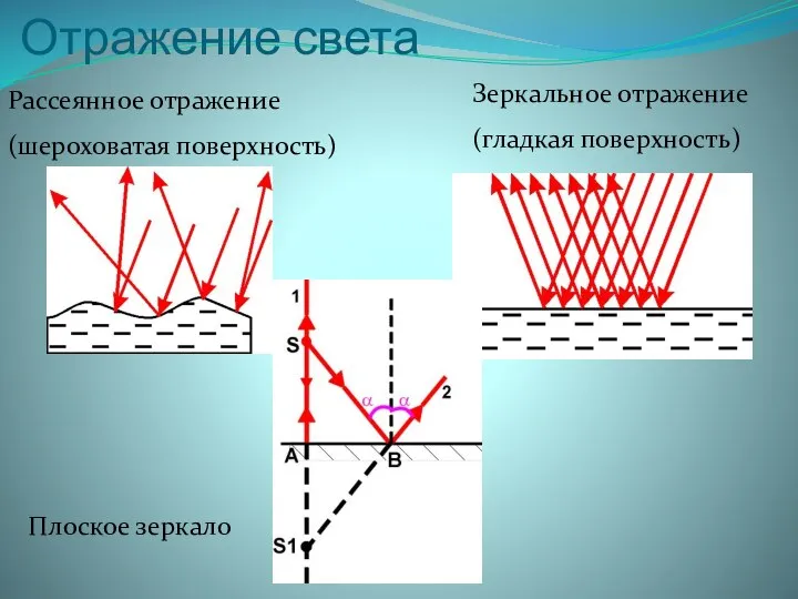 Отражение света Рассеянное отражение (шероховатая поверхность) Зеркальное отражение (гладкая поверхность) Плоское зеркало