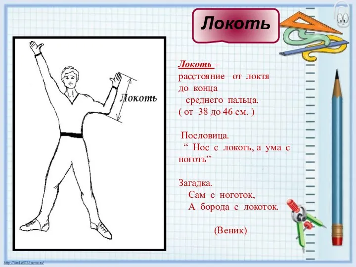 Локоть – расстояние от локтя до конца среднего пальца. ( от