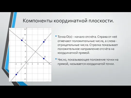 Компоненты координатной плоскости. Точка О(0) - начало отсчёта. Справа от неё