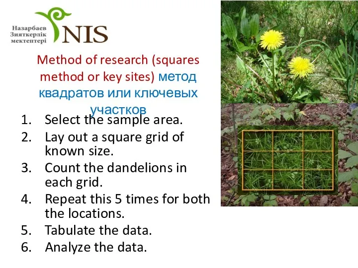 Method of research (squares method or key sites) метод квадратов или