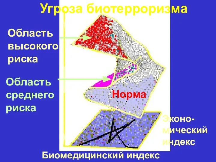 Норма Угроза биотерроризма Область высокого риска Область среднего риска Эконо- мический индекс Биомедицинский индекс