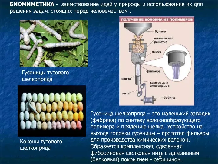 БИОМИМЕТИКА - заимствование идей у природы и использование их для решения