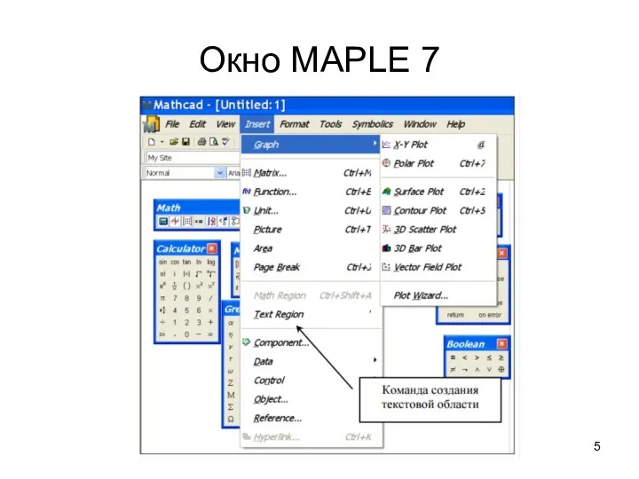 Окно MAPLE 7