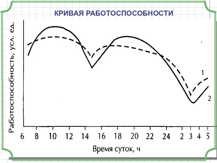 КРИВАЯ РАБОТОСПОСОБНОСТИ