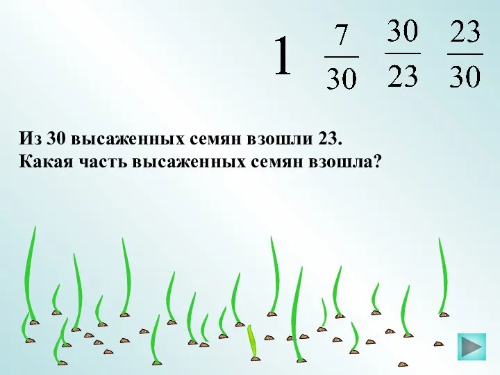 Из 30 высаженных семян взошли 23. Какая часть высаженных семян взошла?