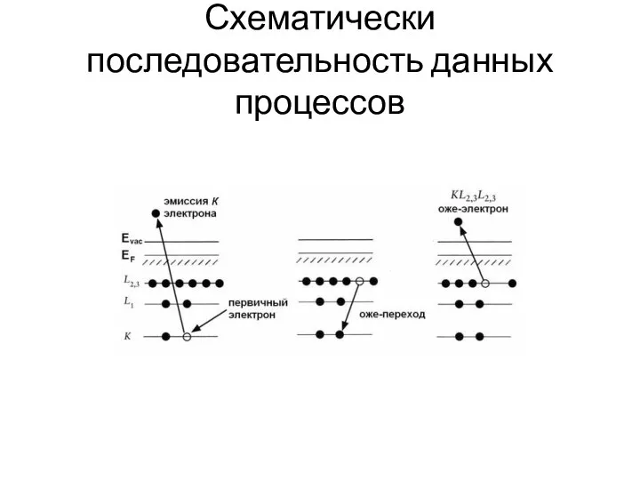 Схематически последовательность данных процессов