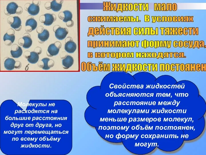 Жидкости мало сжимаемы. В условиях действия силы тяжести принимают форму сосуда,