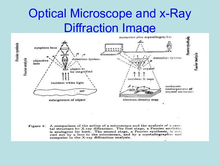 Optical Microscope and x-Ray Diffraction Image