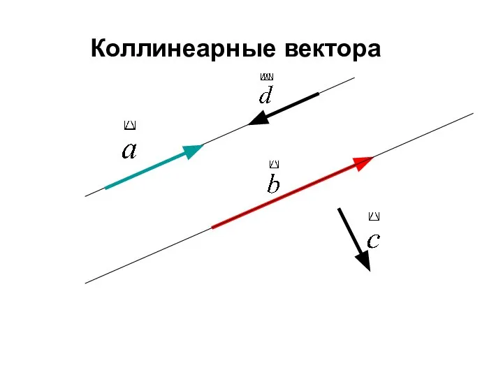 Коллинеарные вектора