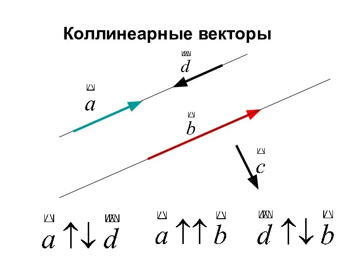 Коллинеарные векторы