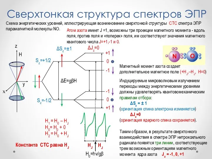 Сверхтонкая структура спектров ЭПР H z x y Sz=+1/2 Sz=-1/2 ΔSz=±1