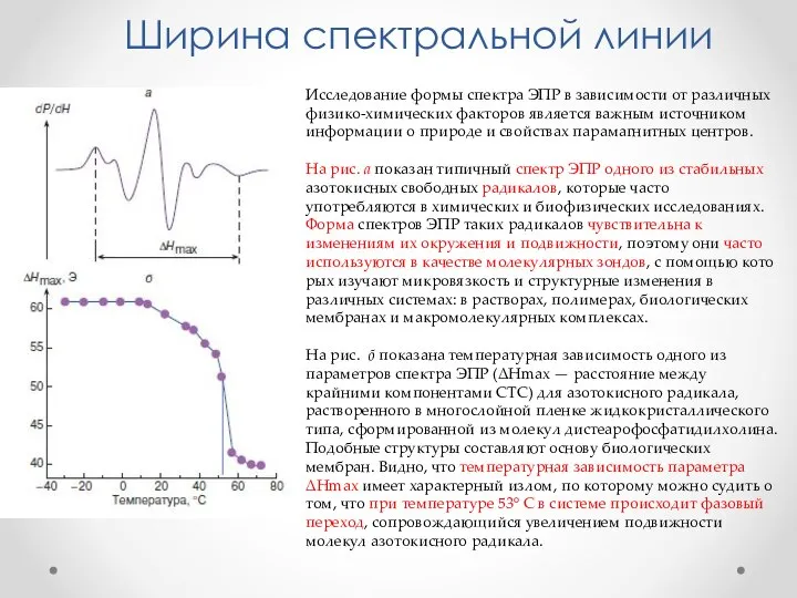 Исследование формы спектра ЭПР в зависимо­сти от различных физико-химических факторов яв­ляется