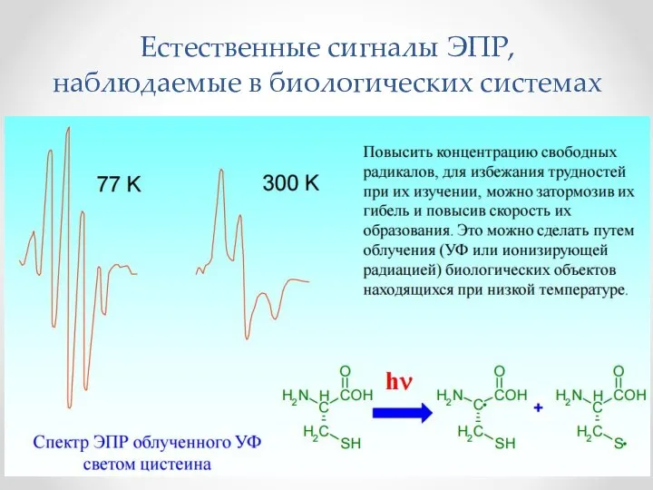 Естественные сигналы ЭПР, наблюдаемые в биологических системах