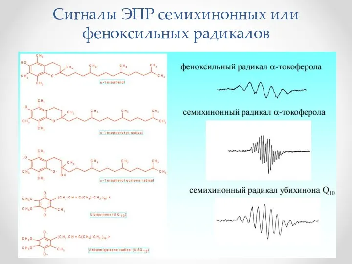 Сигналы ЭПР семихинонных или феноксильных радикалов