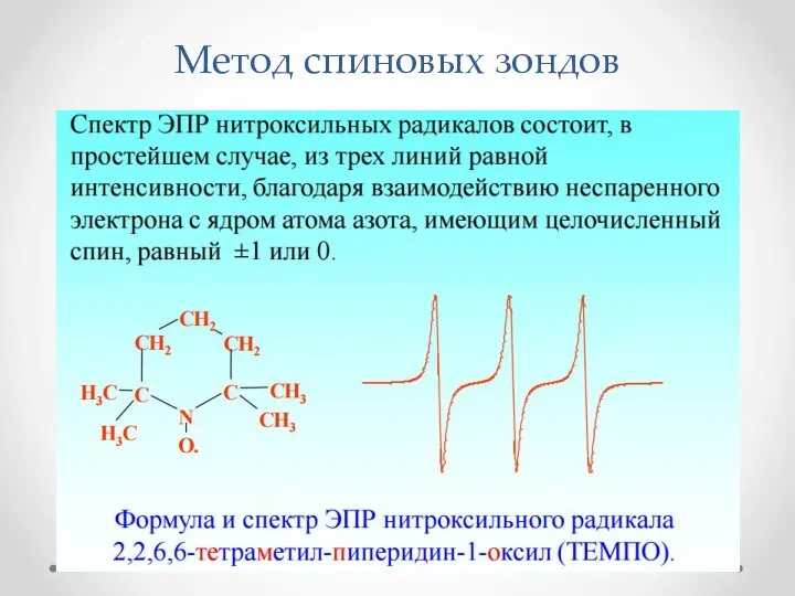 Метод спиновых зондов