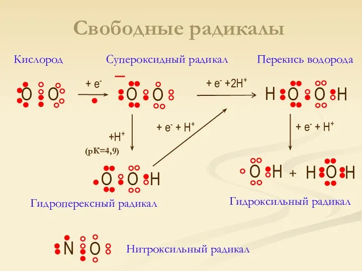 O O O O + е- + е- +2H+ O O