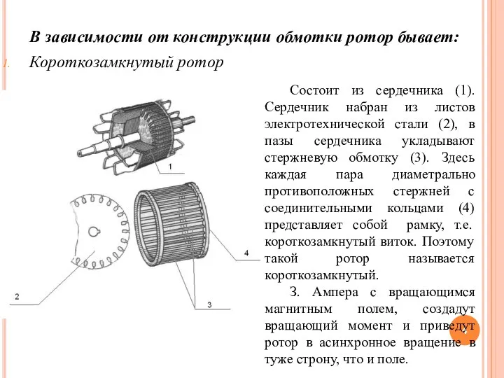 В зависимости от конструкции обмотки ротор бывает: Короткозамкнутый ротор Состоит из