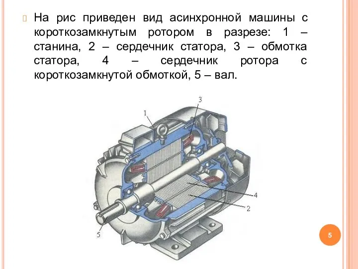 На рис приведен вид асинхронной машины с короткозамкнутым ротором в разрезе: