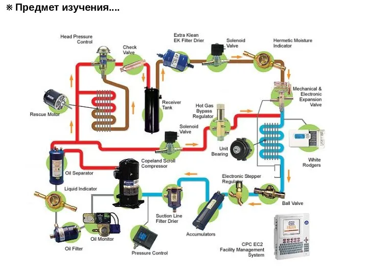 ※ Предмет изучения....