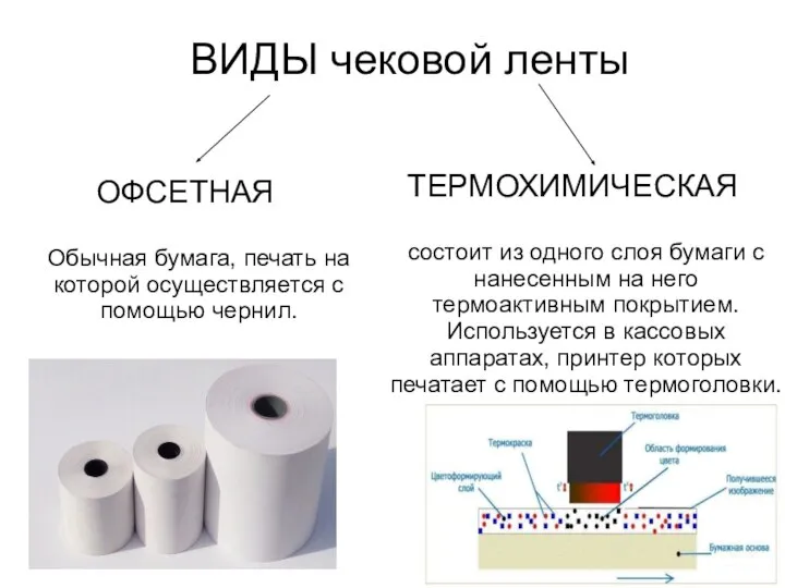 ВИДЫ чековой ленты ОФСЕТНАЯ Обычная бумага, печать на которой осуществляется с