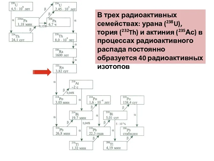 В трех радиоактивных семействах: урана (238U), тория (232Th) и актиния (235Ас)