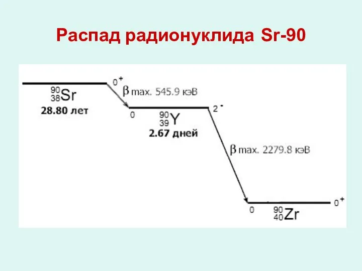 Распад радионуклида Sr-90