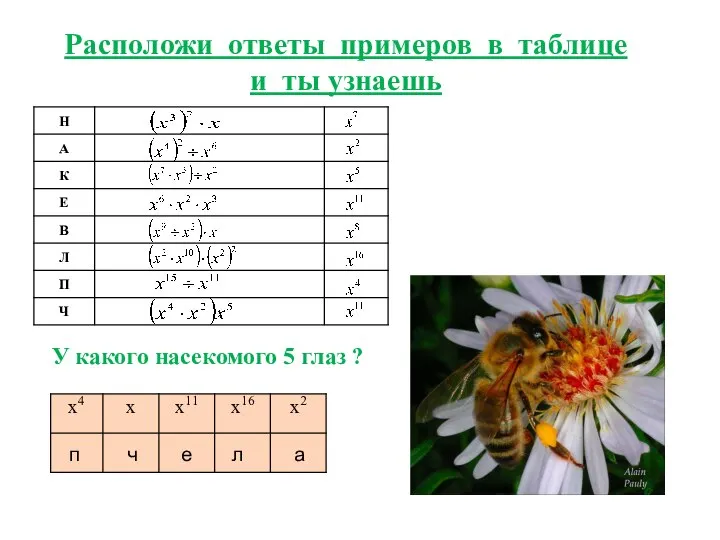 Расположи ответы примеров в таблице и ты узнаешь У какого насекомого