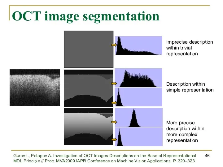 OCT image segmentation Imprecise description within trivial representation Description within simple