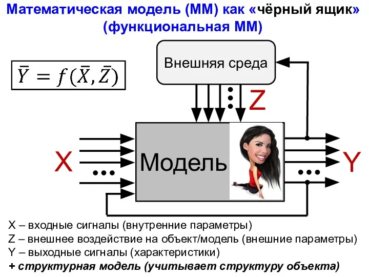 Математическая модель (ММ) как «чёрный ящик» (функциональная ММ) Модель X Y