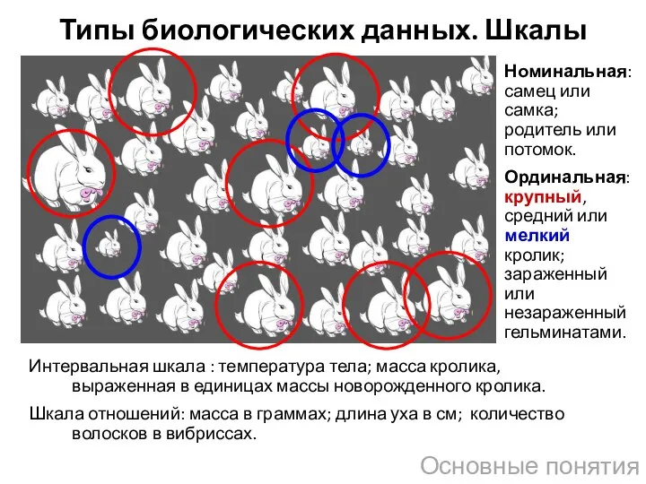 Основные понятия Интервальная шкала : температура тела; масса кролика, выраженная в