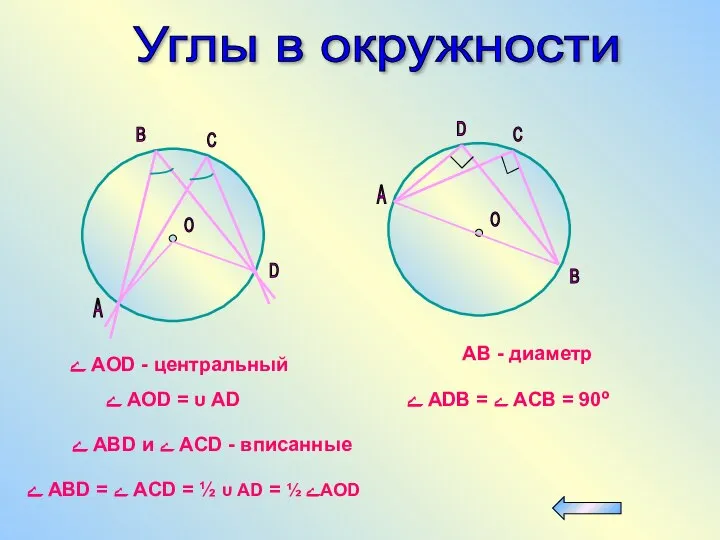 Углы в окружности A B С О D A B С