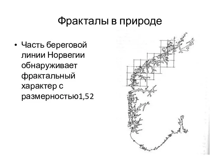 Фракталы в природе Часть береговой линии Норвегии обнаруживает фрактальный характер с размерностью1,52