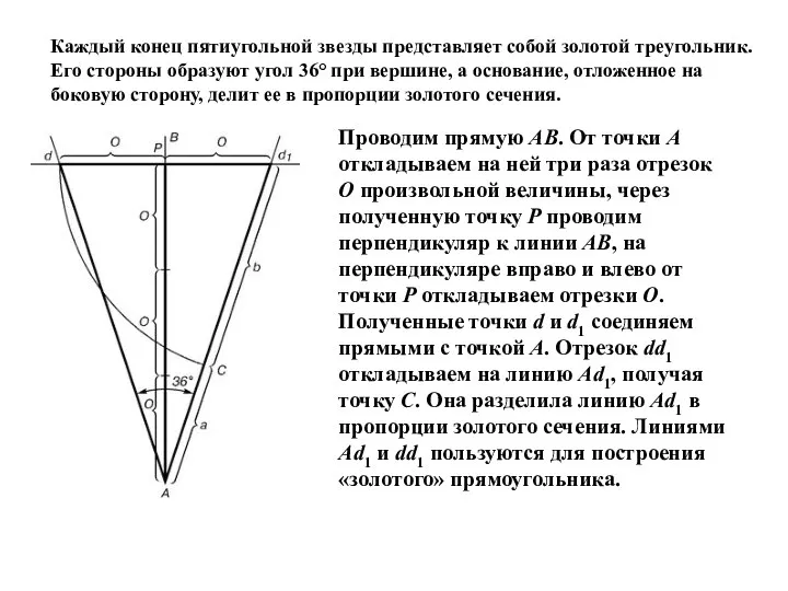 Каждый конец пятиугольной звезды представляет собой золотой треугольник. Его стороны образуют