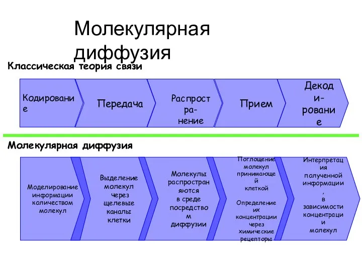 Кодирование Передача Распростра- нение Прием Декоди- рование Классическая теория связи Молекулярная