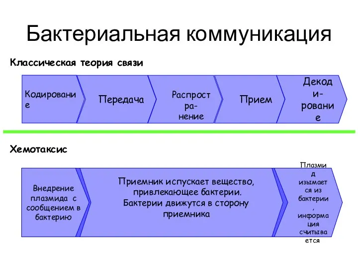 Бактериальная коммуникация Внедрение плазмида с сообщением в бактерию Приемник испускает вещество,