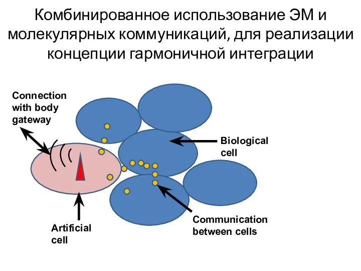 Комбинированное использование ЭМ и молекулярных коммуникаций, для реализации концепции гармоничной интеграции